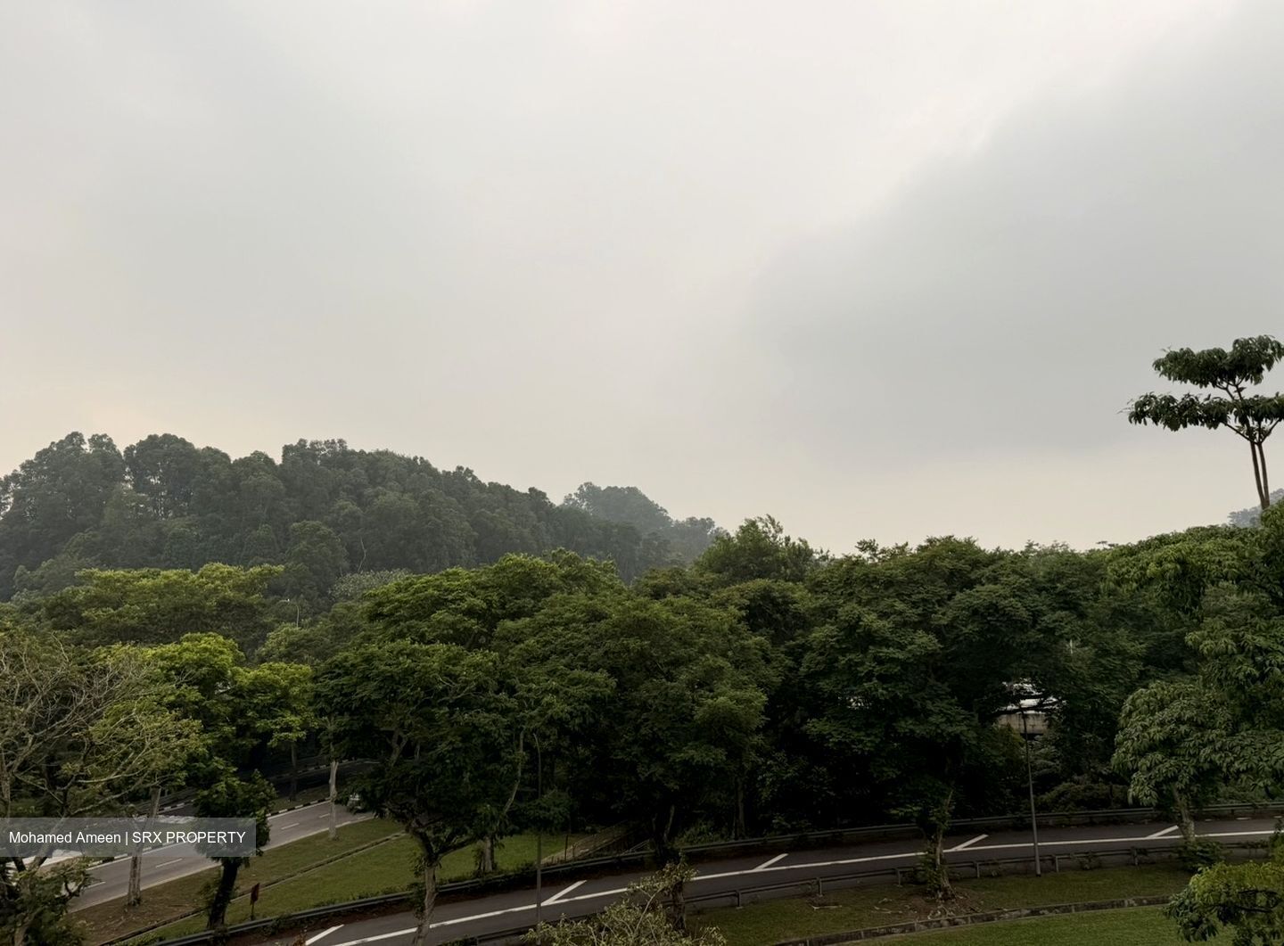 Parc Rosewood (D25), Condominium #636964021